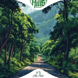 Wild Hills Sour Ale Киви Эстрагон Зеленый Крыжовник
