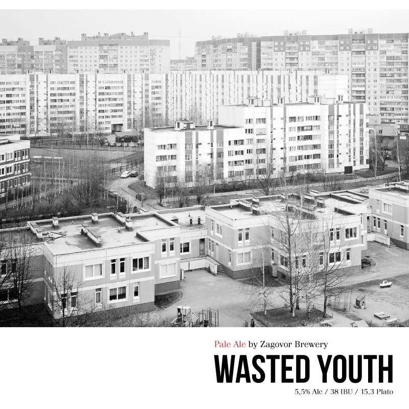 Zagovor Wasted Youth / Потраченная молодость