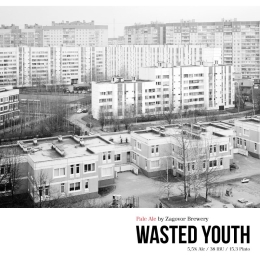 Zagovor Wasted Youth / Потраченная молодость