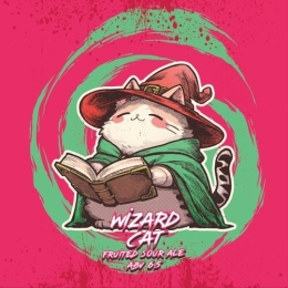 Selfmade Wizard Cat / Кот-волшебник