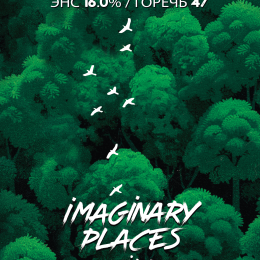 Selfmade Imaginary Places / Селфмейд Воображаемые Места