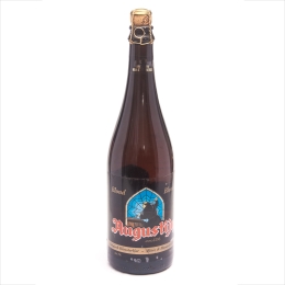Van Steenberge Augustijn Blond/Августин светлый 0,75 бут.